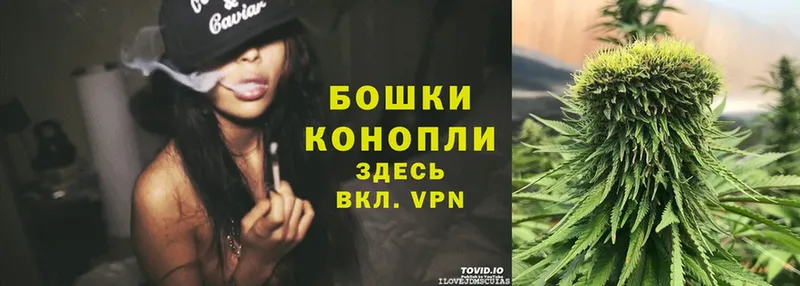 Бошки марихуана SATIVA & INDICA  Собинка 